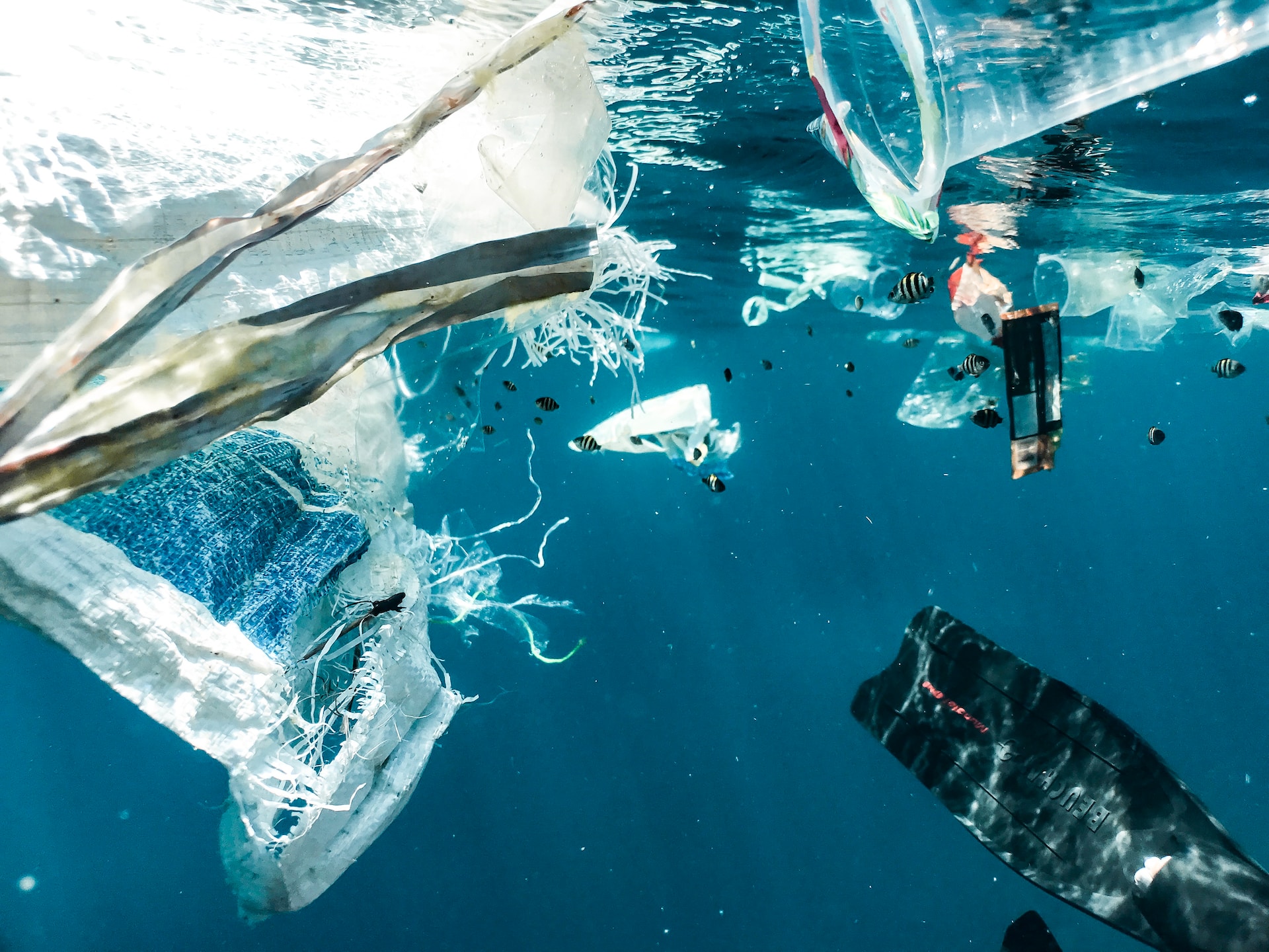 Addressing Ocean Pollution: Strategies for Managing Food Plastic Packaging in Asian Countries